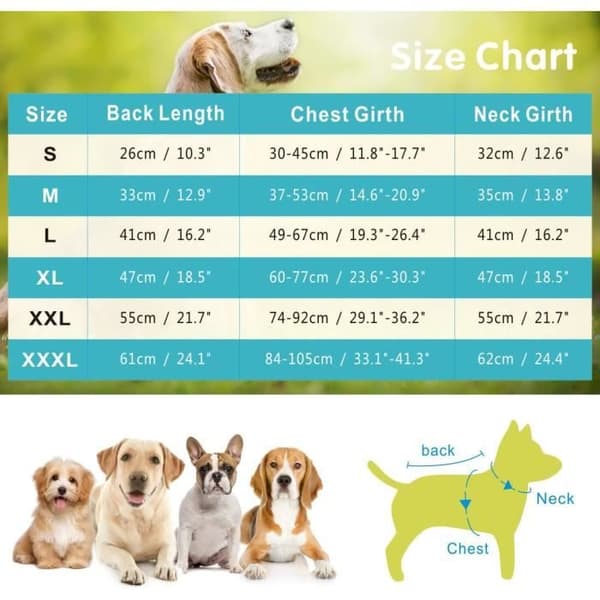 Kylväst - Hund - Blå - Andningsbart Nät - Justerbar - Storlek XL (Pe)