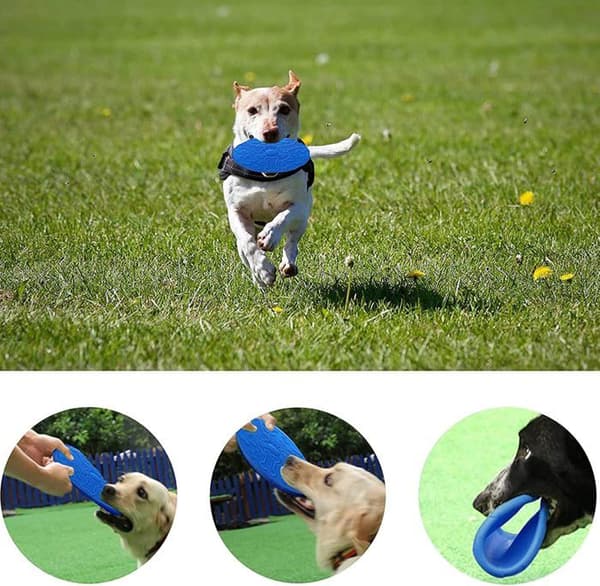 3-delt hundeflyverdisk-sæt, flyverdisk i naturgummi, flyvende disk hundelegetøj, kastelegetøj til hunde (Pe)