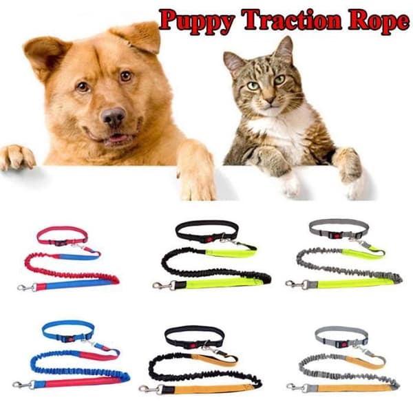 (6) Justerbart hundkoppel, handsfree, för husdjur, promenader, löpning, jogging, midjebälte, rem (Pe)