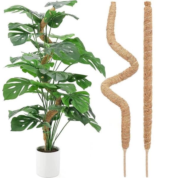 Klätterväxtstöd - AQSACOKIYA - 2-pack - Naturlig kokosfiber och aluminium - 120 cm (Pe)