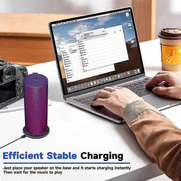 UE 3 & 3 Laddningsstation med USB-C-kabel (Peng)