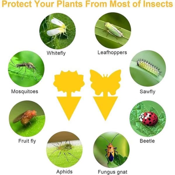 60 st. Anti-mygg växtflugfällor insektsfällor insticksbara flugfällor (bin och blommor) (Peng)