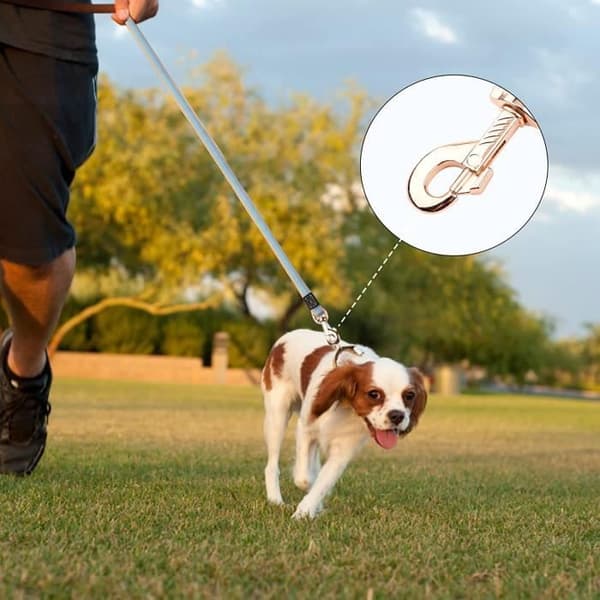 Slitstarkt hundträningskoppel - 2m - Blå/Röd - Utomhus - Nylon - Rep (Pe)