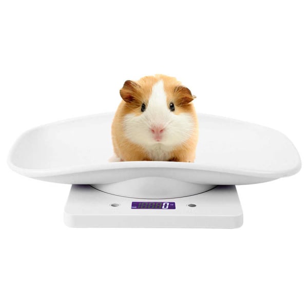 Elektronisk bärbar högprecisionsvåg Digital Small Pet