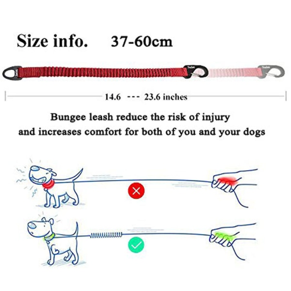 Kort bungee hundkoppel för hundar Nylon indragbart