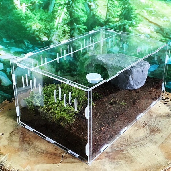 Transparent Stor Slitstark Akryl Terrarium Reptil Box Pet