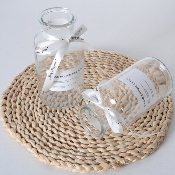 Creative Home Cork Reagens-flaska, dekorativ glasflaska
