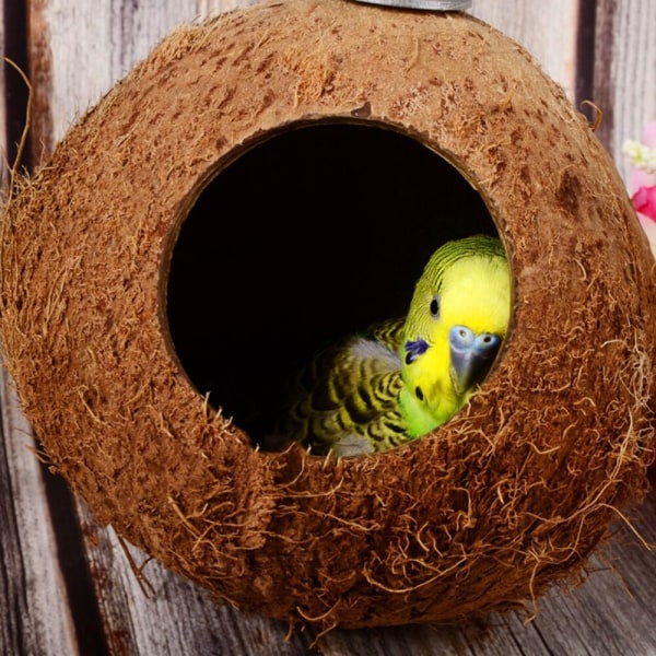 Fågelbur Leksaker Naturlig husdekoration Varm hemhamster