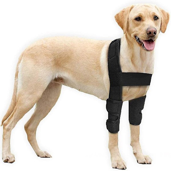 Albuebeskytter for hund - Beskyttende puter for albue- og skulderstøtte hos hund Albuehygrom, dysplasi, osteoartritt Aoba