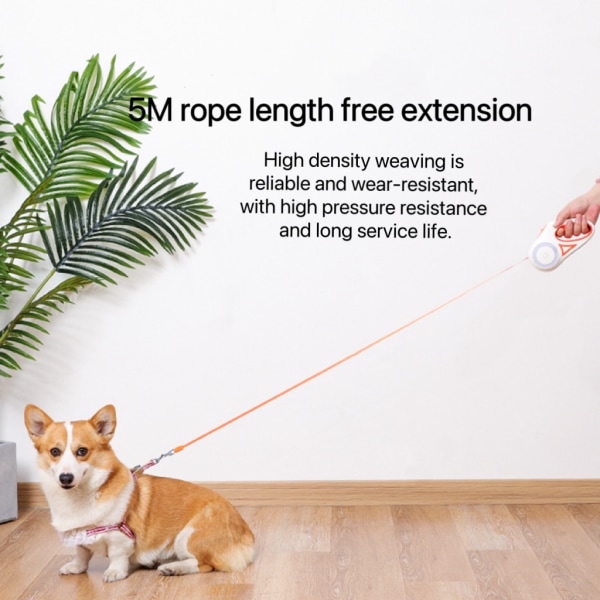 Gränsöverskridande LED-ljus hundkoppel Husdjur automatiskt koppel teleskop hundkoppel koppel hundkoppel koppel hundtillbehör rep Explosion-proof green 5 m