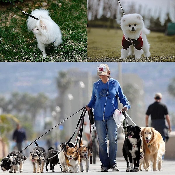 Sysy Mainiusi 30m lang hundeline med polstret håndtag, lang hundeline 30m lang hundetræningsline Trac
