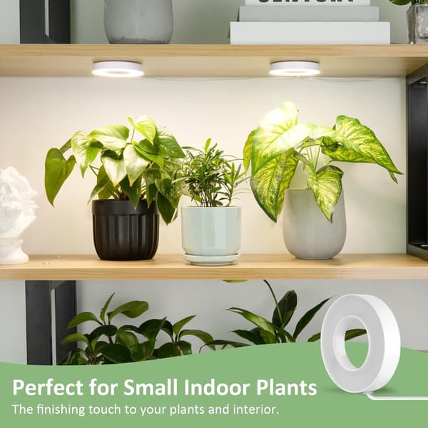 LED-plantegrowlight, fuldspektrum, 144 LED'er, dæmpbar med 4/8/12H timer, USB 5V, til små indendørs planter, sort, 19x12x4cm
