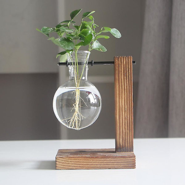 Träram Glas Vas Planter Skrivbord Hydroponics Växt Bonsai Blomkruka