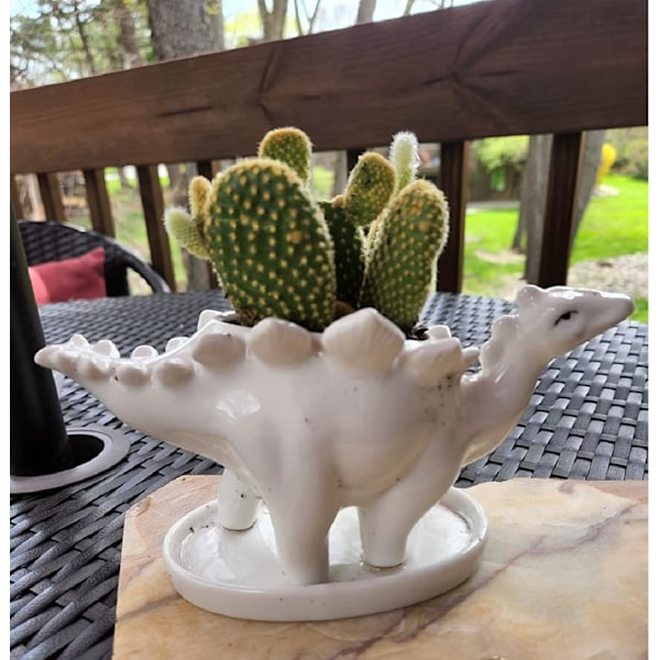 2 st, dinosaurieformad planter, liten suckulentkruka, små suckulentkrukor med dränering, keramisk dinosaurieformad planter