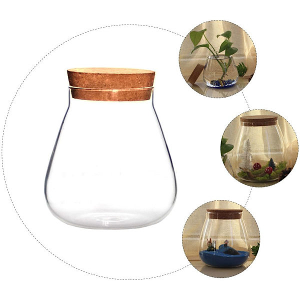Rundt glasskrukke plante terrarium bordplate sukkulent planter mosekuler knopper vase ønskeflaske godterikakeboks beholder med kork