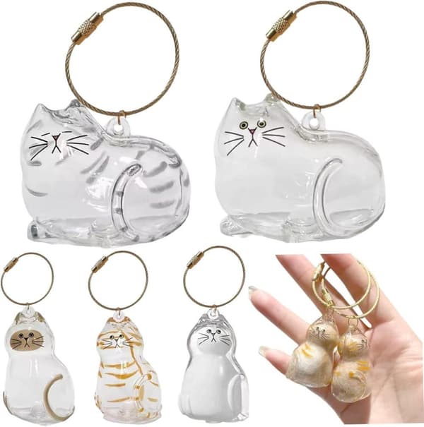 Kattfodral Nyckelring - 5-pack - Transparent - Minnesrelik - Hårförvarare