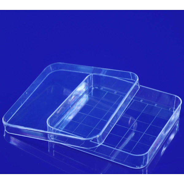 10 st transparenta rektangulära plastpetriskålar 100 mm x 100 mm pipetter för odling av celler och andra vetenskapliga ändamål