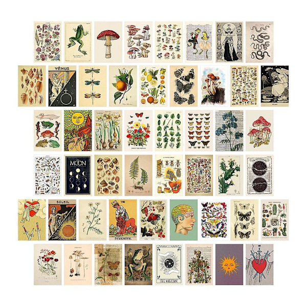 50pcs Vintage Botanical Tarot Aesthetic Wall Collage Kit & Fauna Insects Illustration Art Posters C