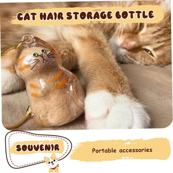 Kattfodral Nyckelring - 5-pack - Transparent - Minnesrelik - Hårförvarare