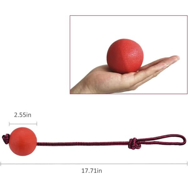 Elastiske hundelekeballer med snor, liten størrelse, 5,5 cm diameter