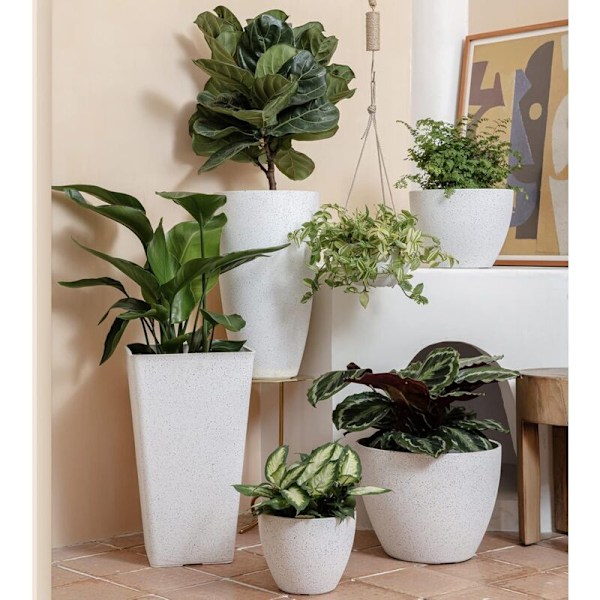 2-pakning hengende plantepotter for innendørs og utendørs planter, 10 tommer-