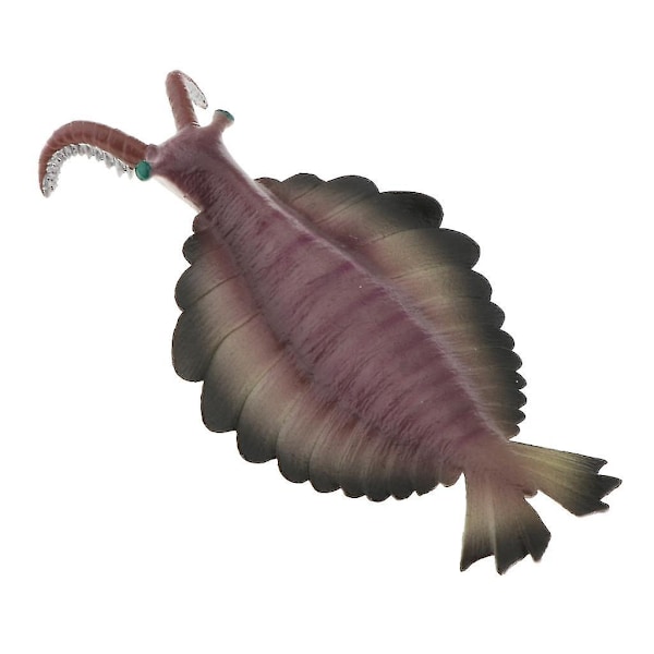 Realistisk statisk havdyr model legetøj børn gave Anomalocaris