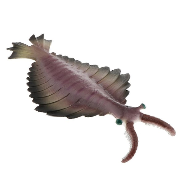 Realistisk statisk havdyr model legetøj børn gave Anomalocaris