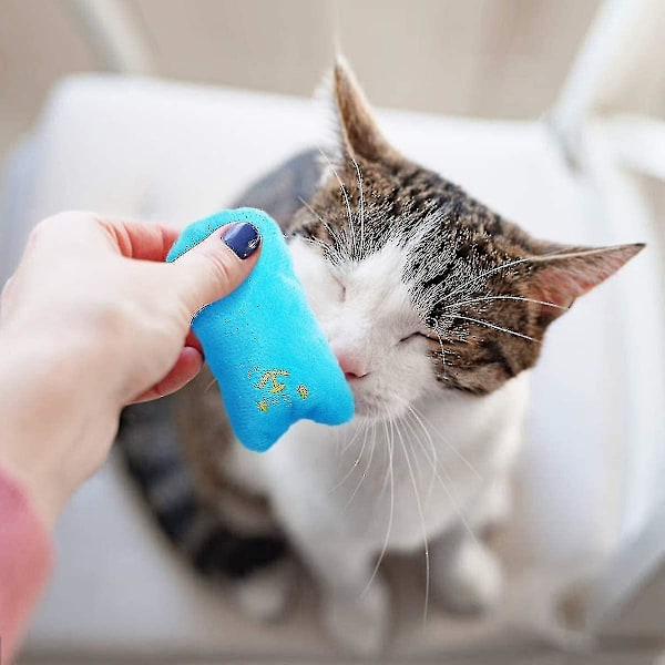 5 st kattmynta plyschleksak, kattmynta leksak valeriana pad katt