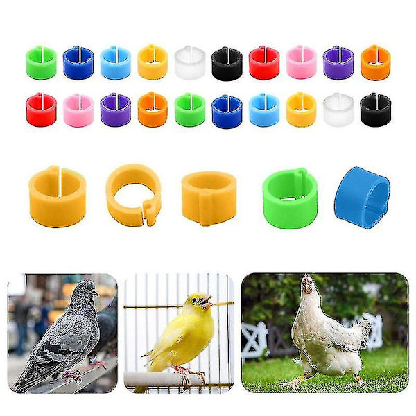 10 st fågelfotringar duvor identifieringsöppning fotring färgglad plast 8 mm fotklämma kycklingbenband