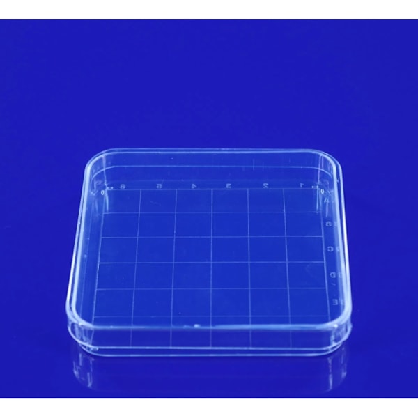 10 stk. 10*10 cm gennemsigtige plastik petriskåle, kulturskåle med låg til skole, klare petriskåle til temafest