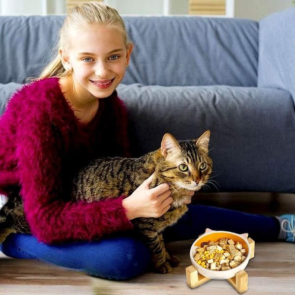 Keramisk Hundskål Viktad för Torrt Vått Foder Snacks Säkert Material