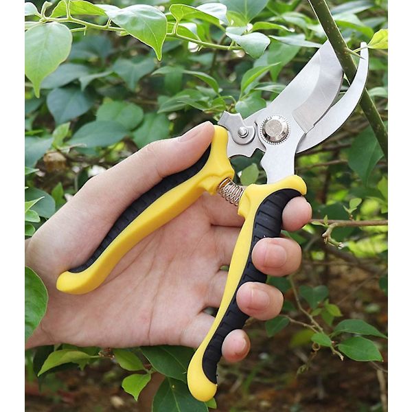 Diy manuelle saks, beskjæringssaks, blomstersaks, rustfritt stål saks