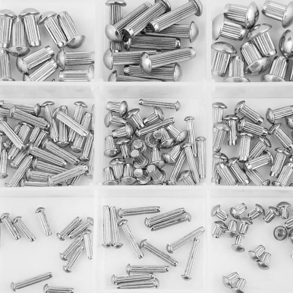 250 stk. M2-M5 Rustfritt Stål Rundt Hode Riflet Skaft Solid Nitter Sortiment