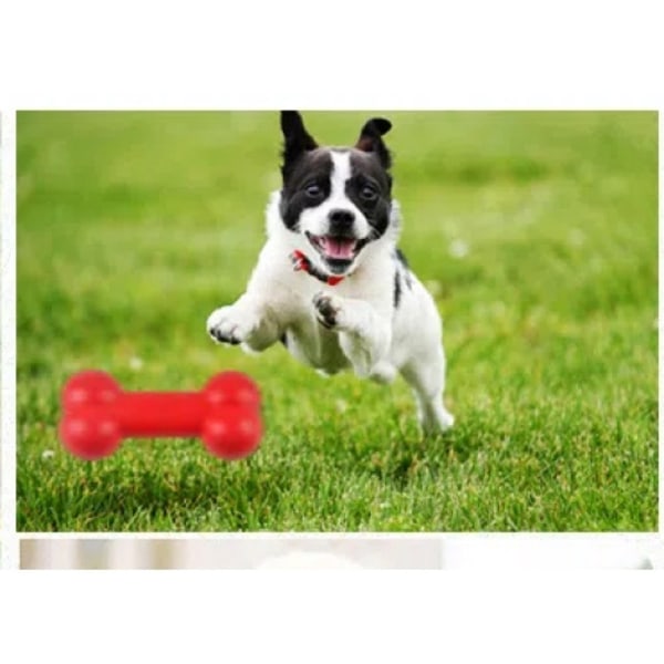 Rött hundben tugg- och slipsten pinne husdjur hundben hund leksak, form för kast & hämtning utomhus(20 * 9 * 6 cm)