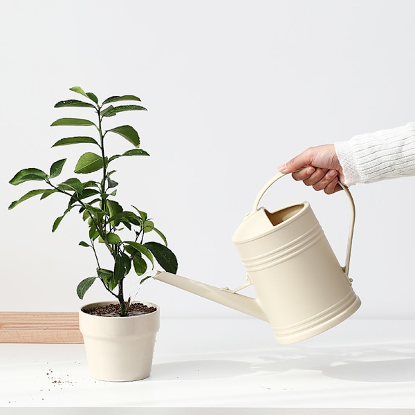 Beige vandkande til stueplanter 2 L, ergonomisk design med lang tud for præcision til indendørs stueplanter Bonsai udendørs have