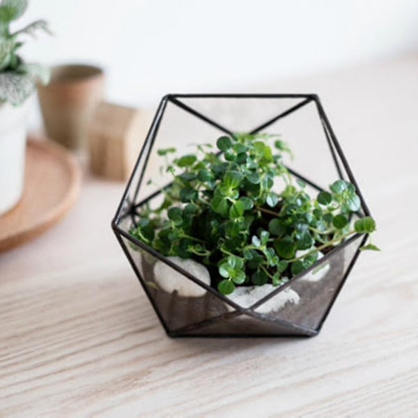 2-pak Glas Geometrisk Terrarium Sukkulent Plantepot Blomster Vase Beholder