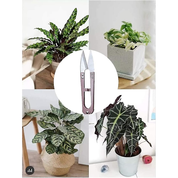 Bonsai beskjæringssaks Beskjæringssaks Saks for knopp og blader Trimmer Garn Trådkutter Mini Små Saks Trimming DIY Supplie(6stk, Flerfarget)