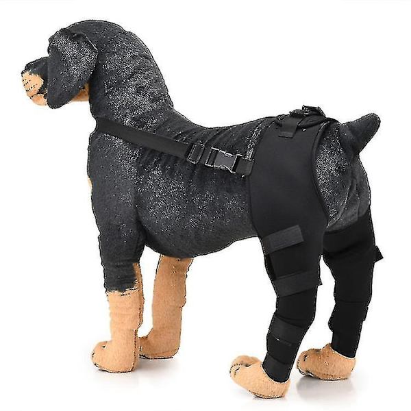 Hundbensstöd, hundknäskydd hund dubbel bakbensstöd, hundbensårsskydd, hundknäskydd benskydd