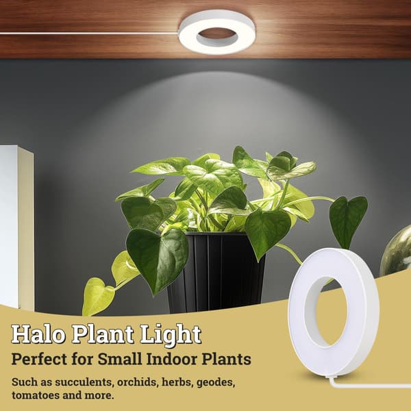 LED-vækstlys, fuldspektret dæmpbart plantelampe med 3/9/12H timer, 3 lysfarver, 192 LED'er, 4-pak til indendørs små planter
