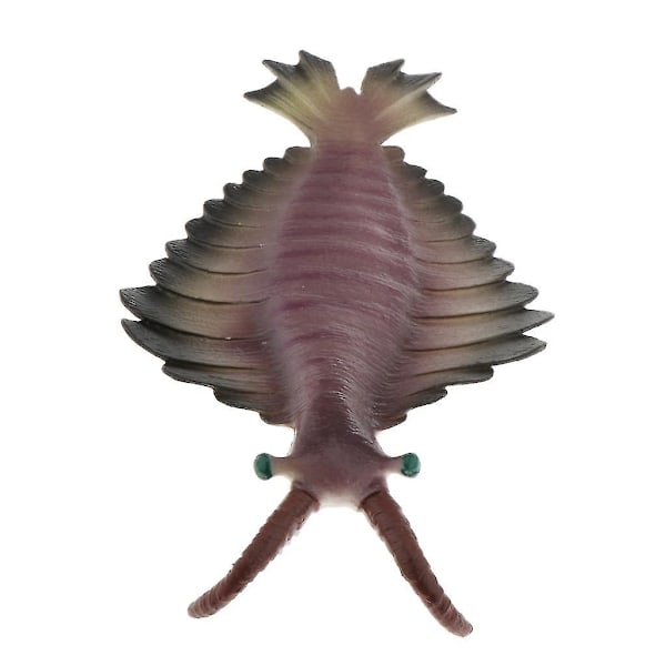 Realistisk statisk havdyr model legetøj børn gave Anomalocaris