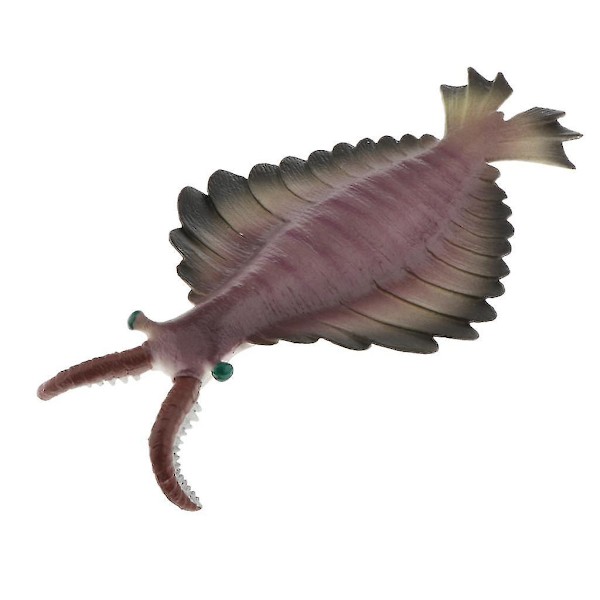 Realistisk statisk havdyr model legetøj børn gave Anomalocaris