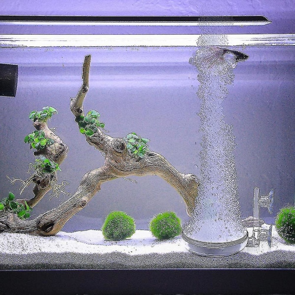 En akvariebubblare sten för akvarium med sugkopp hög upplöst små bubblor ugn syre spridare