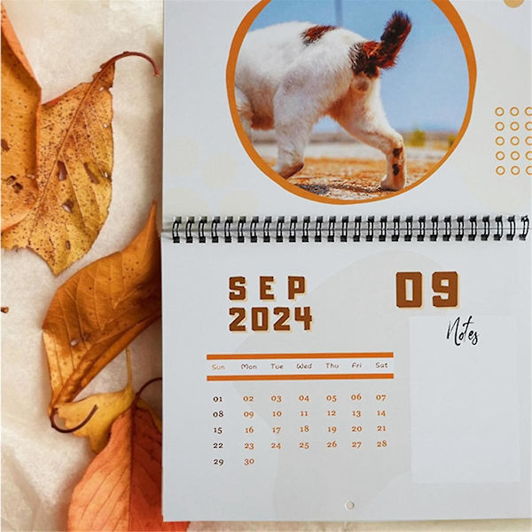 2 st 2024 Kalender Väggkalender 2024, Jan. 2024 - Dec. 2024, 2024 Kalender Katter Buttholes Kalender