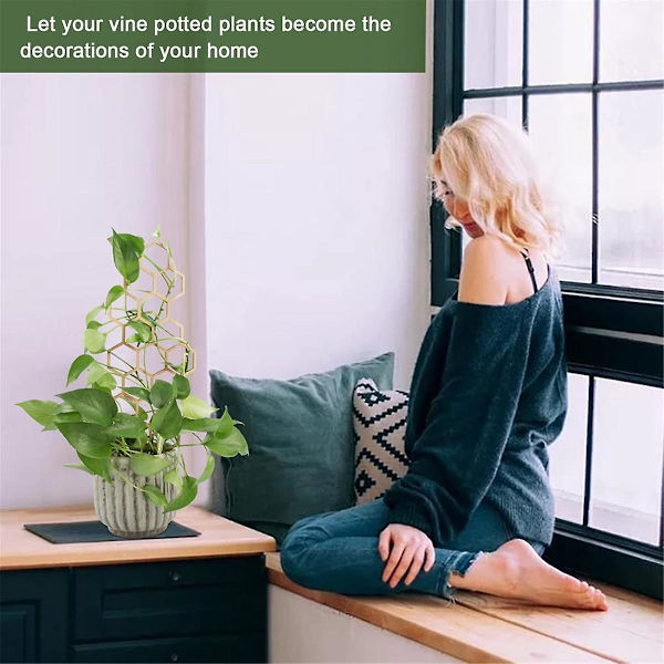 3 stk. Træ Honeycomb Plante Klatrestativ Gitter Klatre Plante Stativ Havearbejde Pottestativ