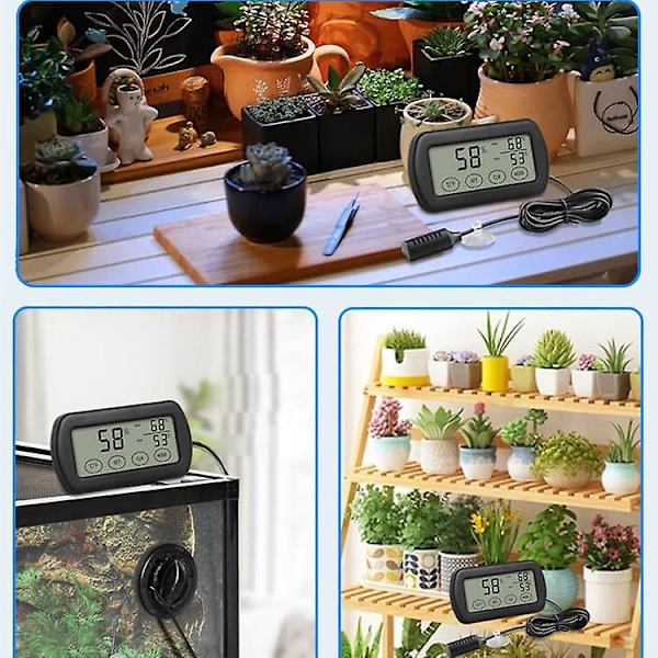 Termometer Hygrometer för äggkläckningsmaskin och mer