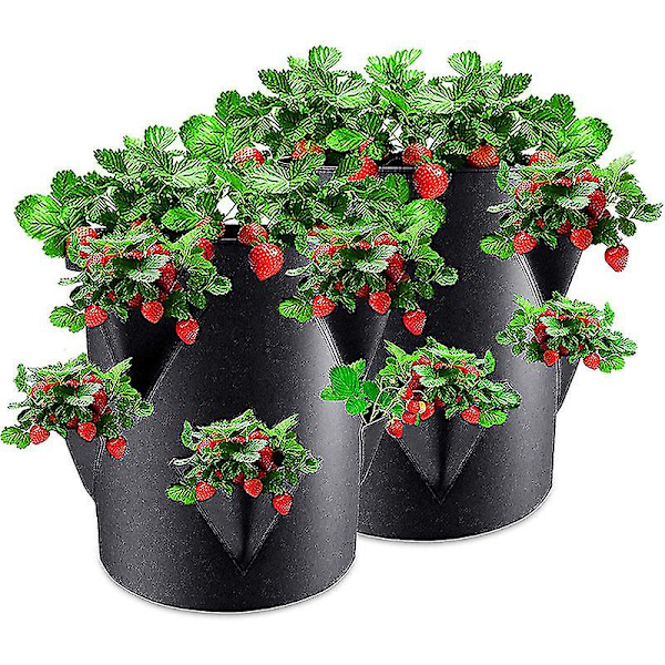 Set med 2 jordgubbsodlingspåsar i filt - 30 x 35 cm - Odlingspåse för jordgubbar och små grönsaker - Påse för trädgårdar, balkonger, växter, påsar för