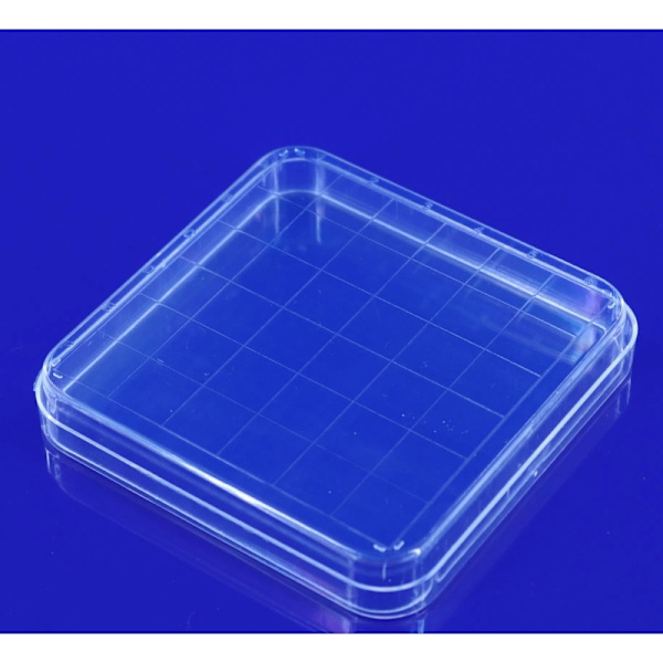 10-pack sterila transparenta plastpetriskålar med lock, 10*10 cm, laboratoriepetriskål för laboratorieanalys, skolprojekt