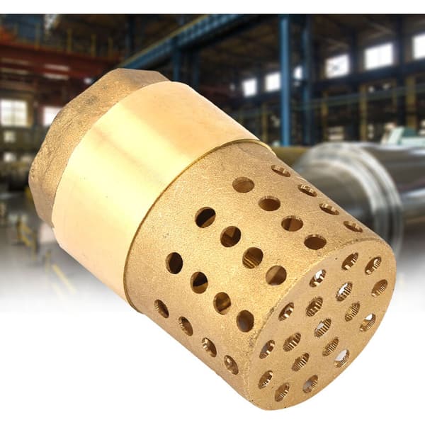 Hunngjenge messing enveis bunnventil mesh tilbakeslagsventil med hull silfilter DN25