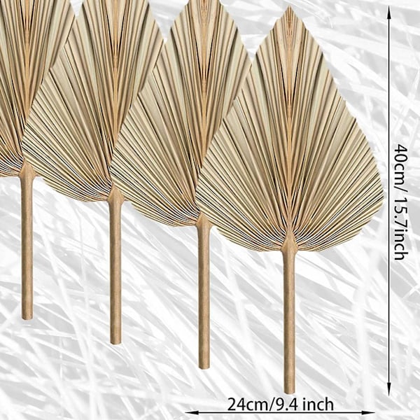 12pcs Dried Palm Leaves Dried Palm Fans Bohemian Dried Palm Spears Artificial Plants Palm Leaves Tr