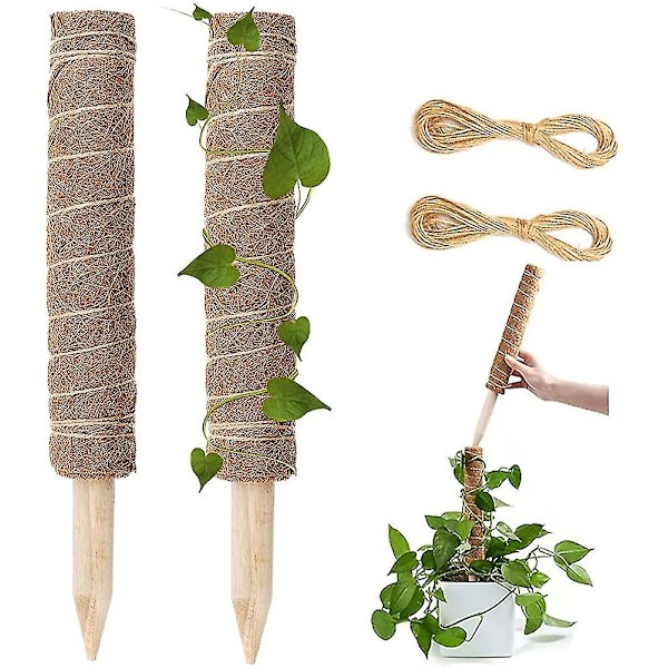 Mosstang 2 stk. 16 tommer Monstera Kokos Totem Mosstænger til planter Monstera